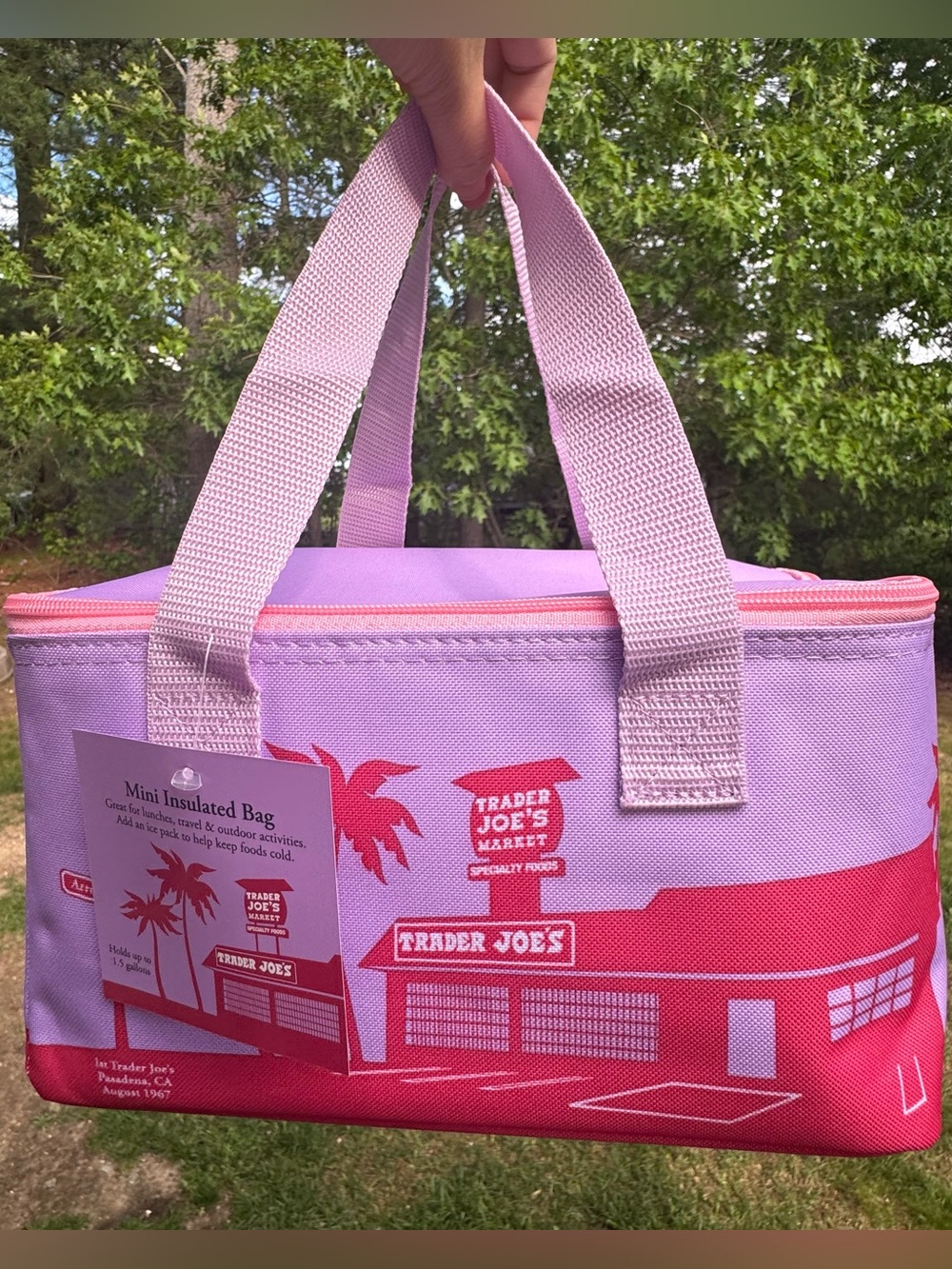Viral Sold Out Trader Joe’s Mini Insulated Tote Summer Collection 2026